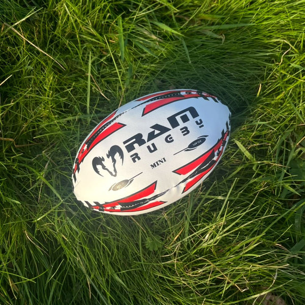 Mini Rugby Ball - Softee - 15cm
