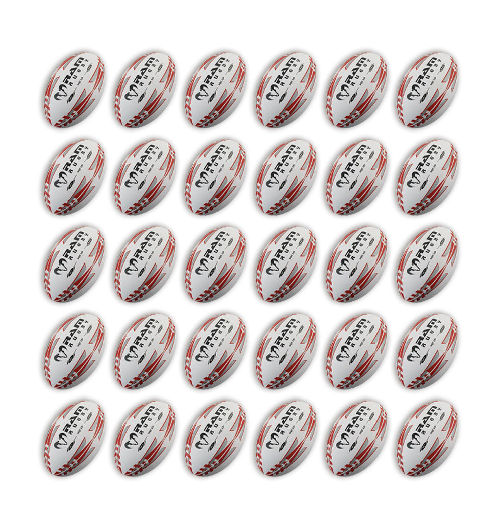 Squad Trainer Ball Bundle - 30 x balls and 2 bags
