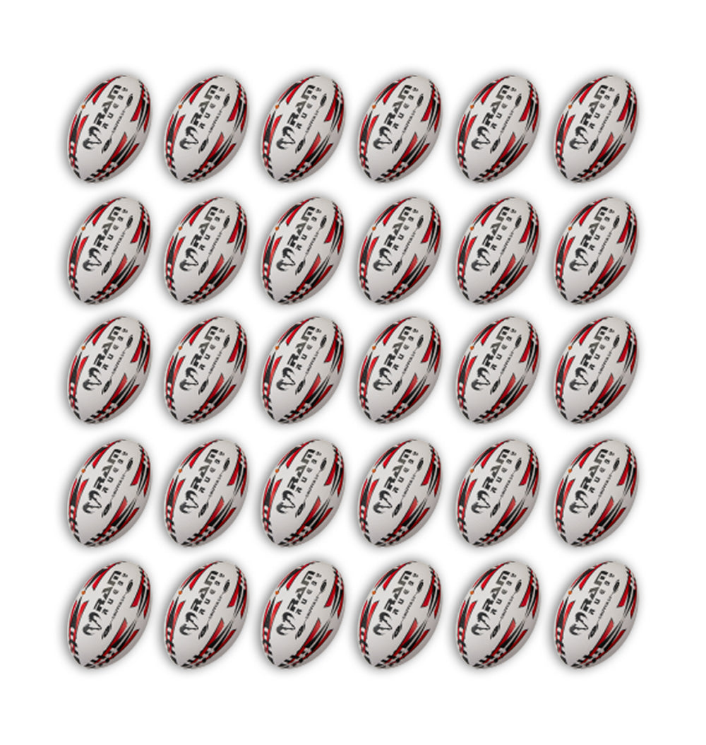 Gripper 2.0 Pro Trainer Ball Bundle - 30 x balls and 2 bags