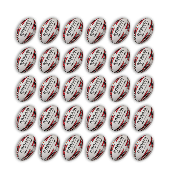 Gripper 2.0 Pro Trainer Ball Bundle - 30 x balls and 2 bags