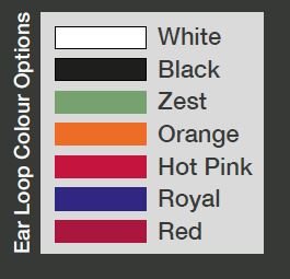 Ram Rugby-Custom Facemasks