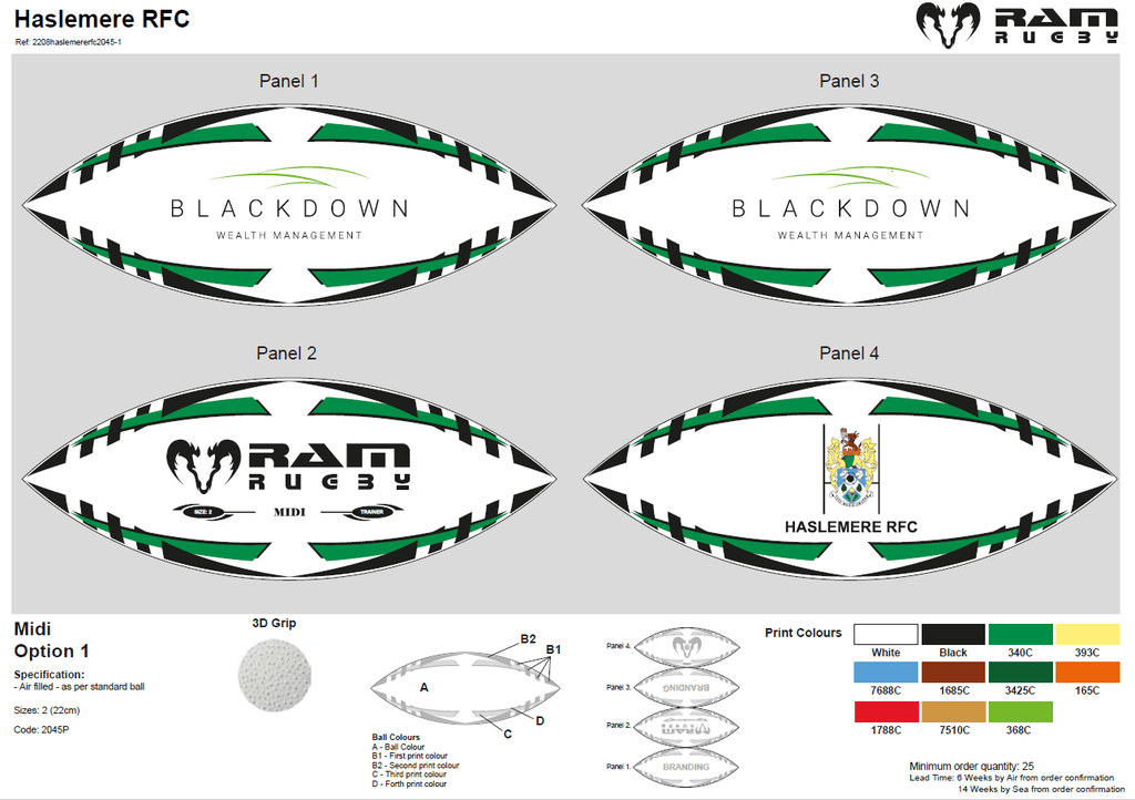 Ram Rugby-Custom Mini & Midi Balls - 14 week delivery