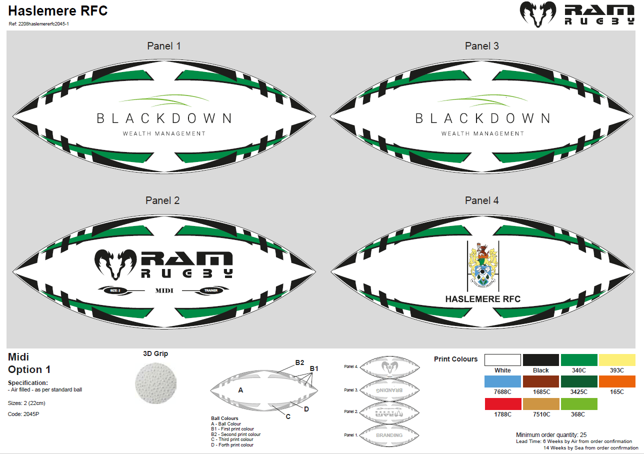 Ram Rugby-Custom Mini & Midi Balls - 14 week delivery