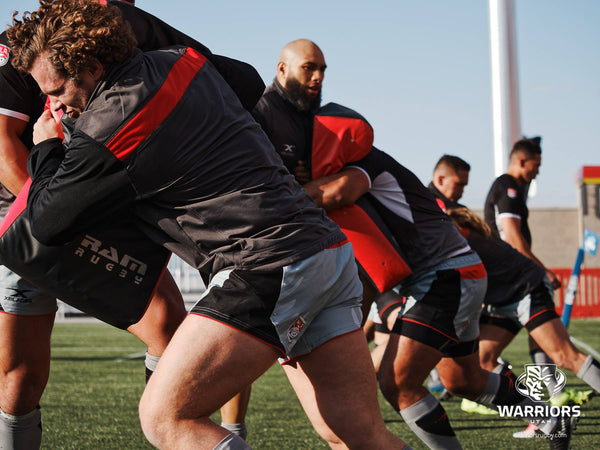 Ram Rugby-Single Wedge Hit Shields